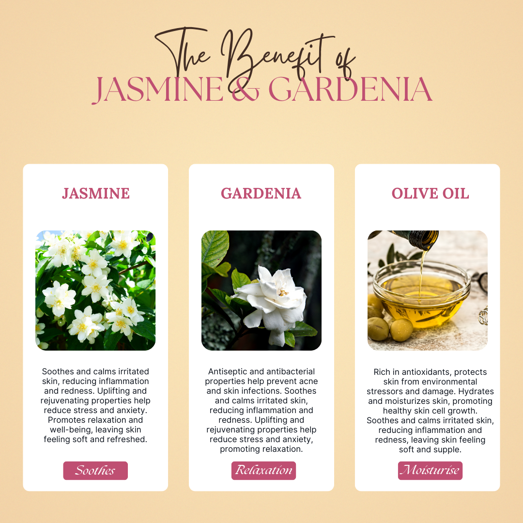 (Pack of 3) Aurélie Jasmine - Indulge in the opulent essence of Aurélie