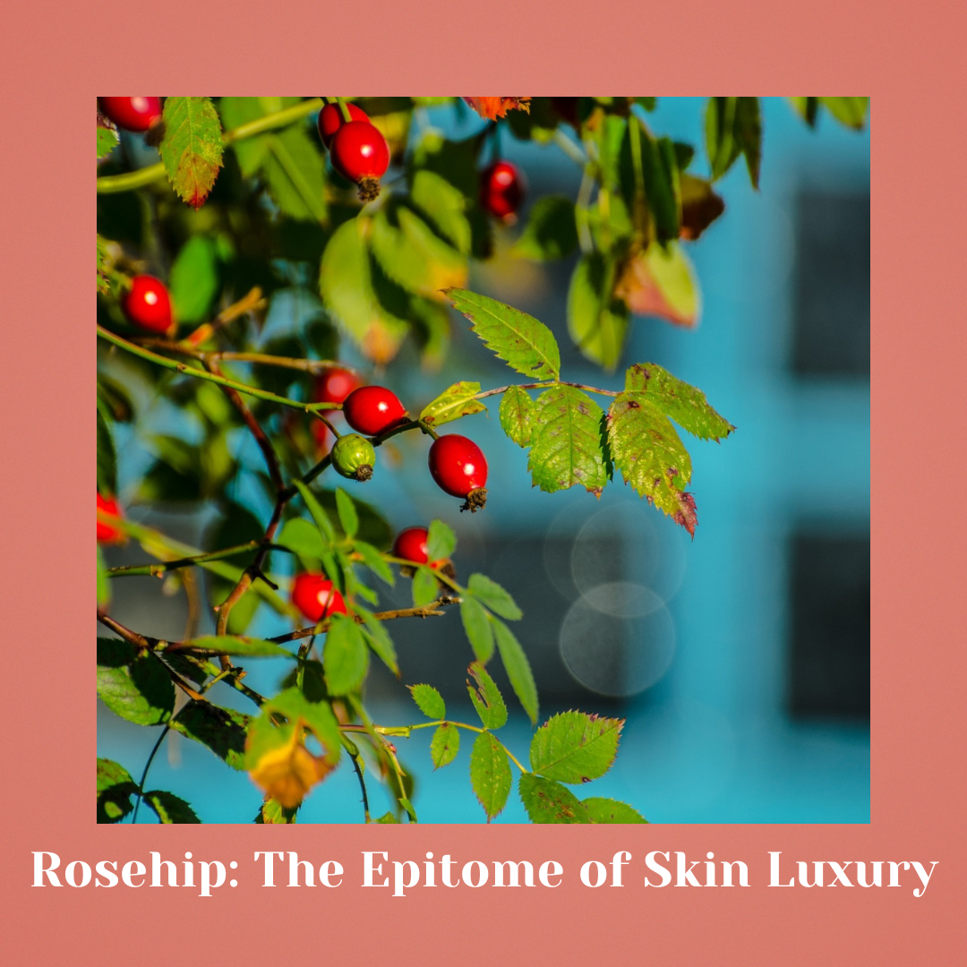 Eternal Luxe - Dawn of Youthful Skin