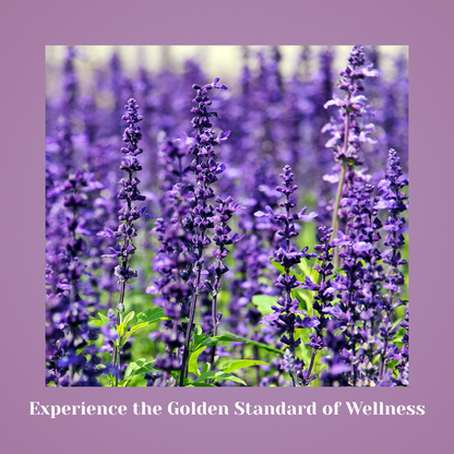 Lavender Luxe - Indulge in the tranquil essence of Lavender