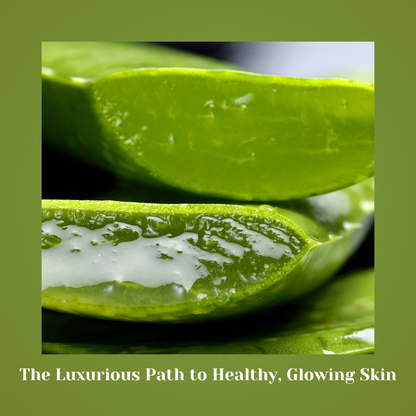 Aloevia - Indulge in the nourishing goodness of Aloevera