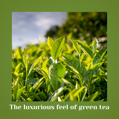 Jade Leaf - Indulge in the opulence of Green Tea Luxe