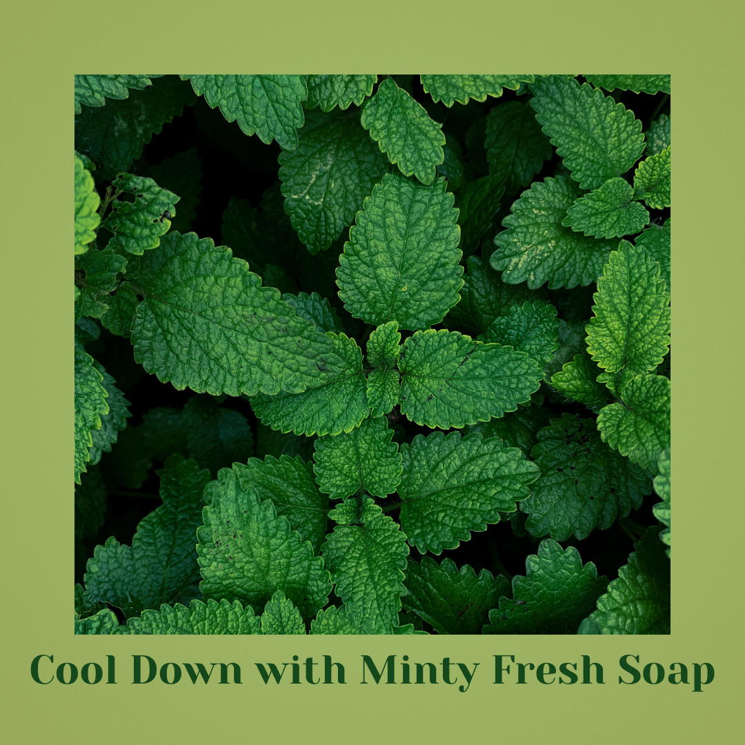 (Pack of 3) Refreshing Mint - Indulge in Bliss Revitalize & Refressness Senses