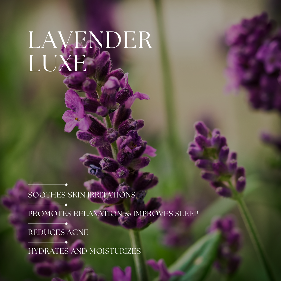 Lavender Luxe - Indulge in the tranquil essence of Lavender