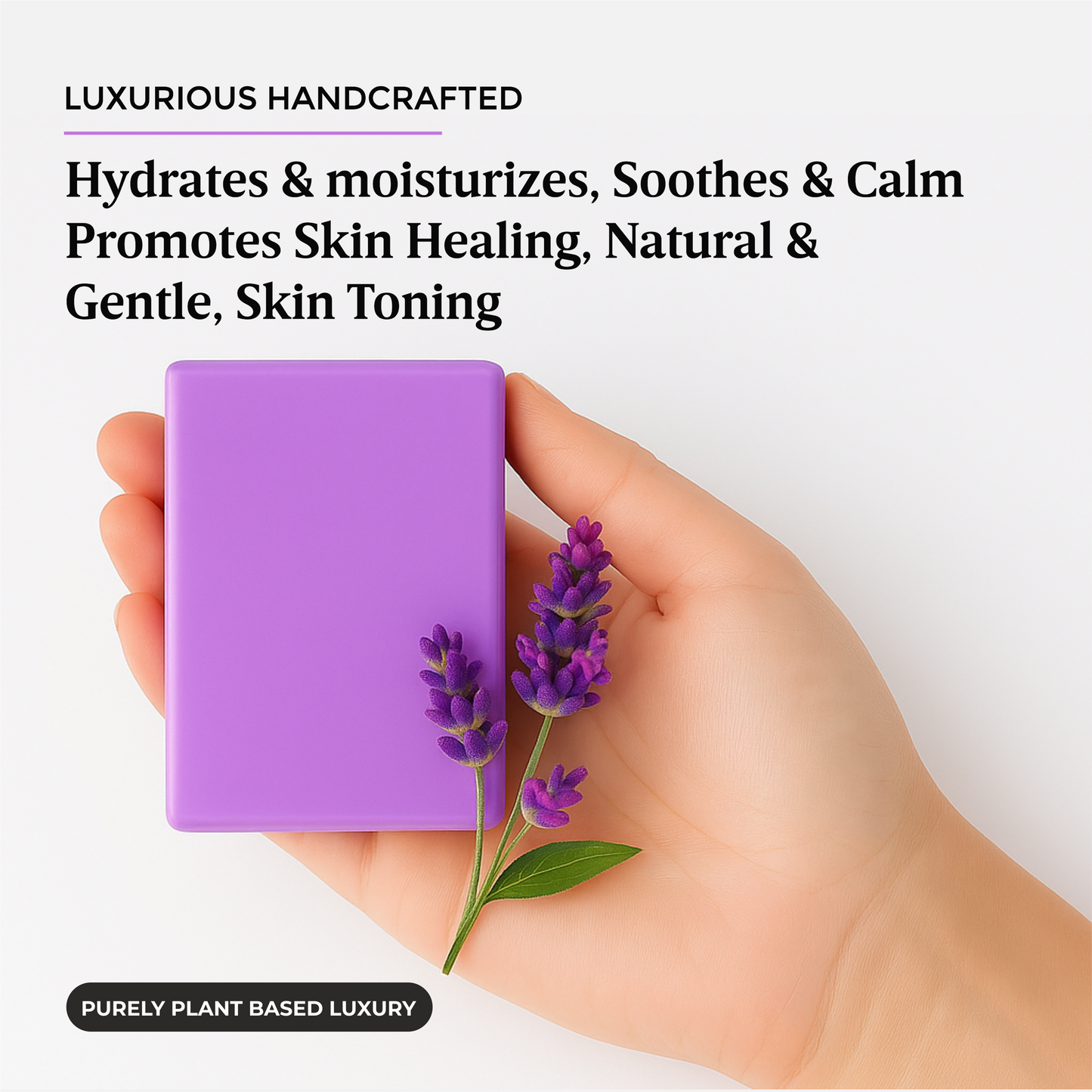 Lavender Luxe - Indulge in the tranquil essence of Lavender